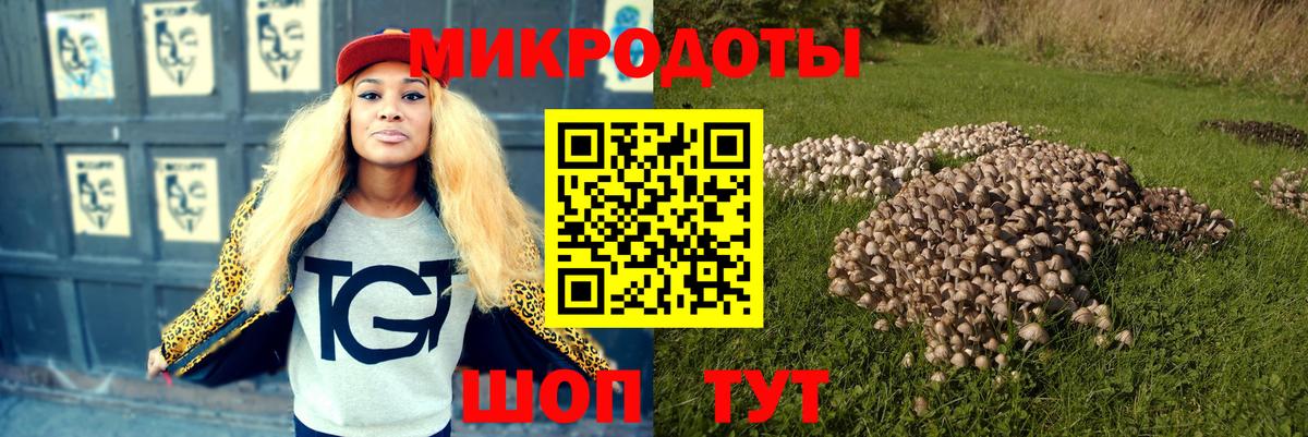 Якутск  наркошоп  Вход с VPN  Галлюциногенные грибы Cubensis 