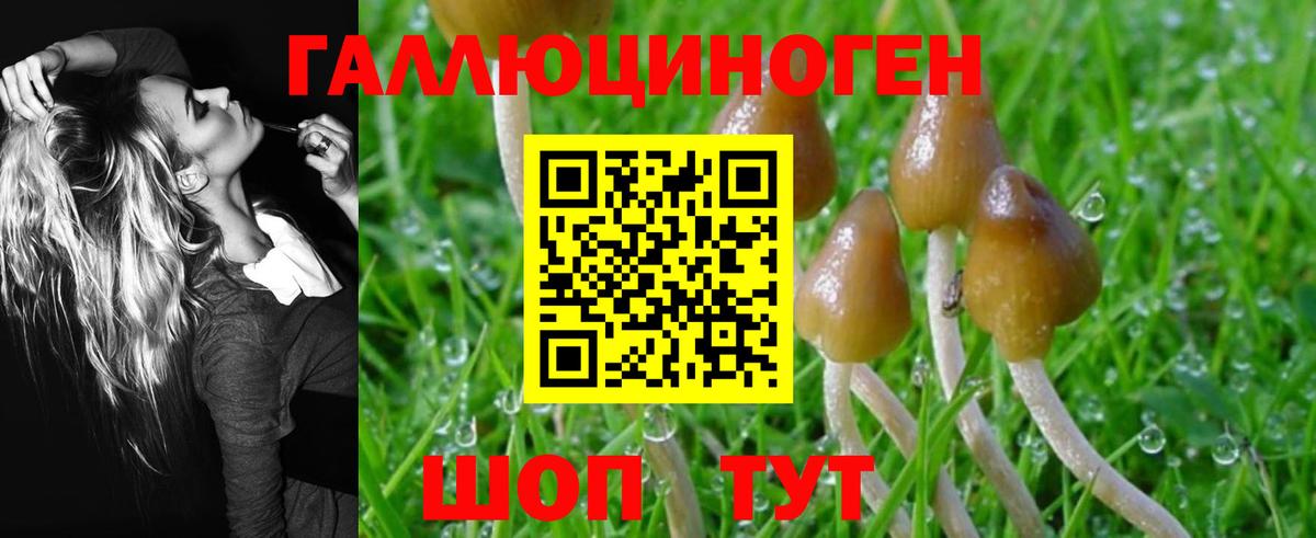 Галлюциногенные грибы MAGIC MUSHROOMS Якутск